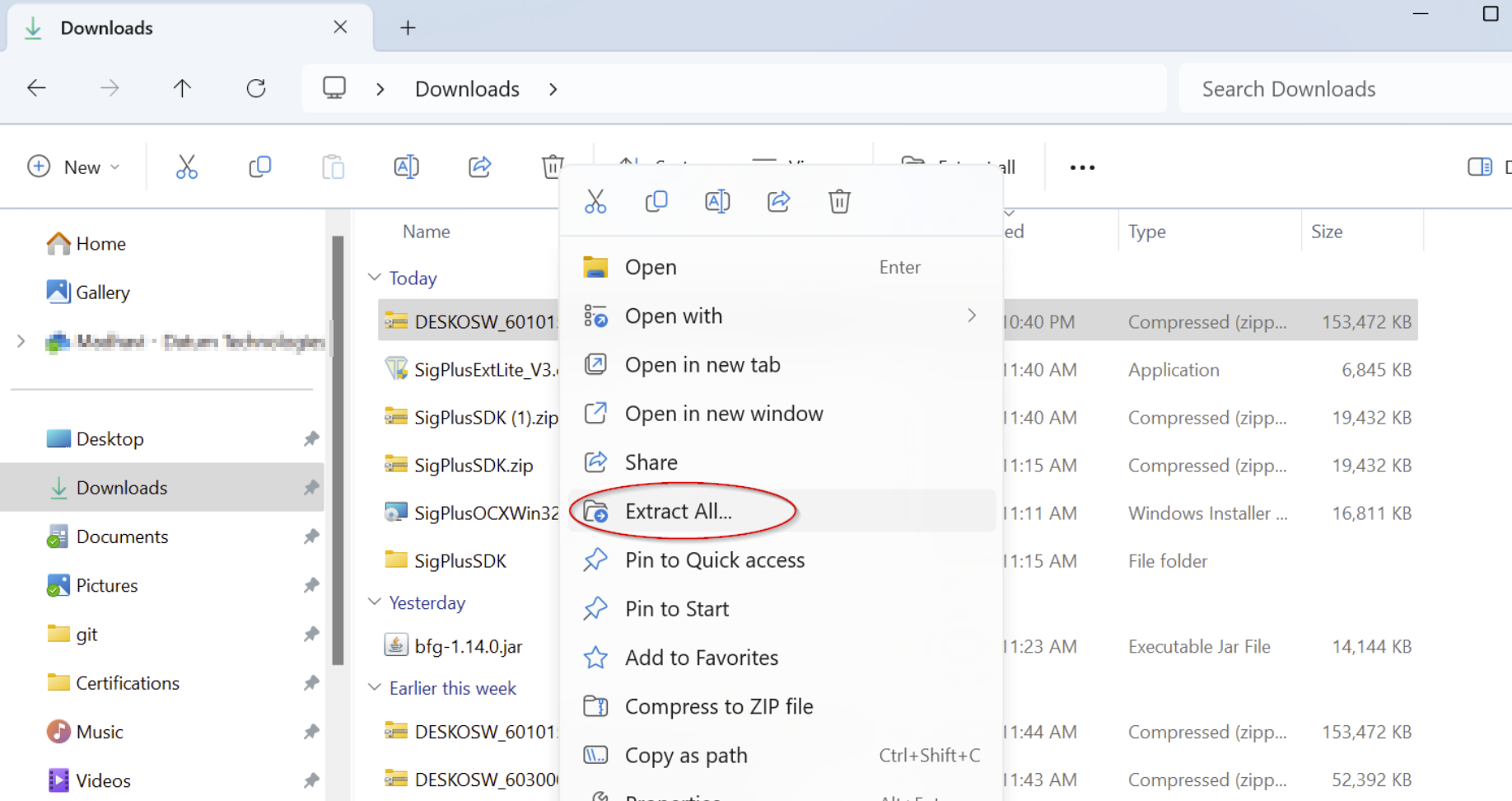 Extract Zipfile