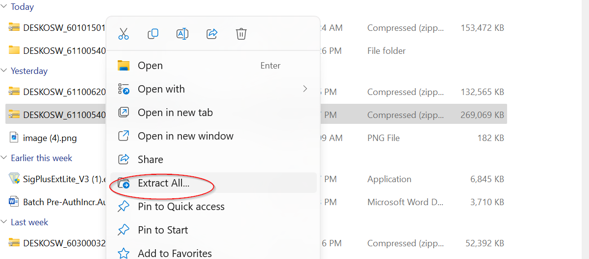 Extract Zipfile
